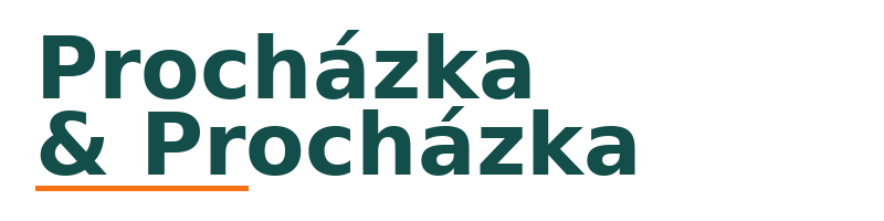 Procházka & Procházka logo
